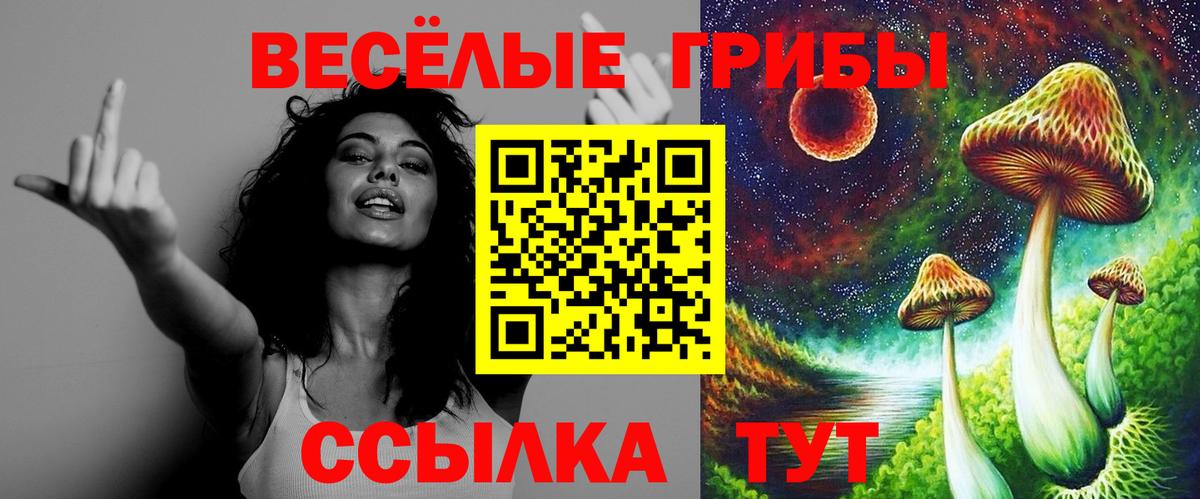 Набережные Челны  Псилоцибиновые грибы прущие грибы  Вход с VPN 